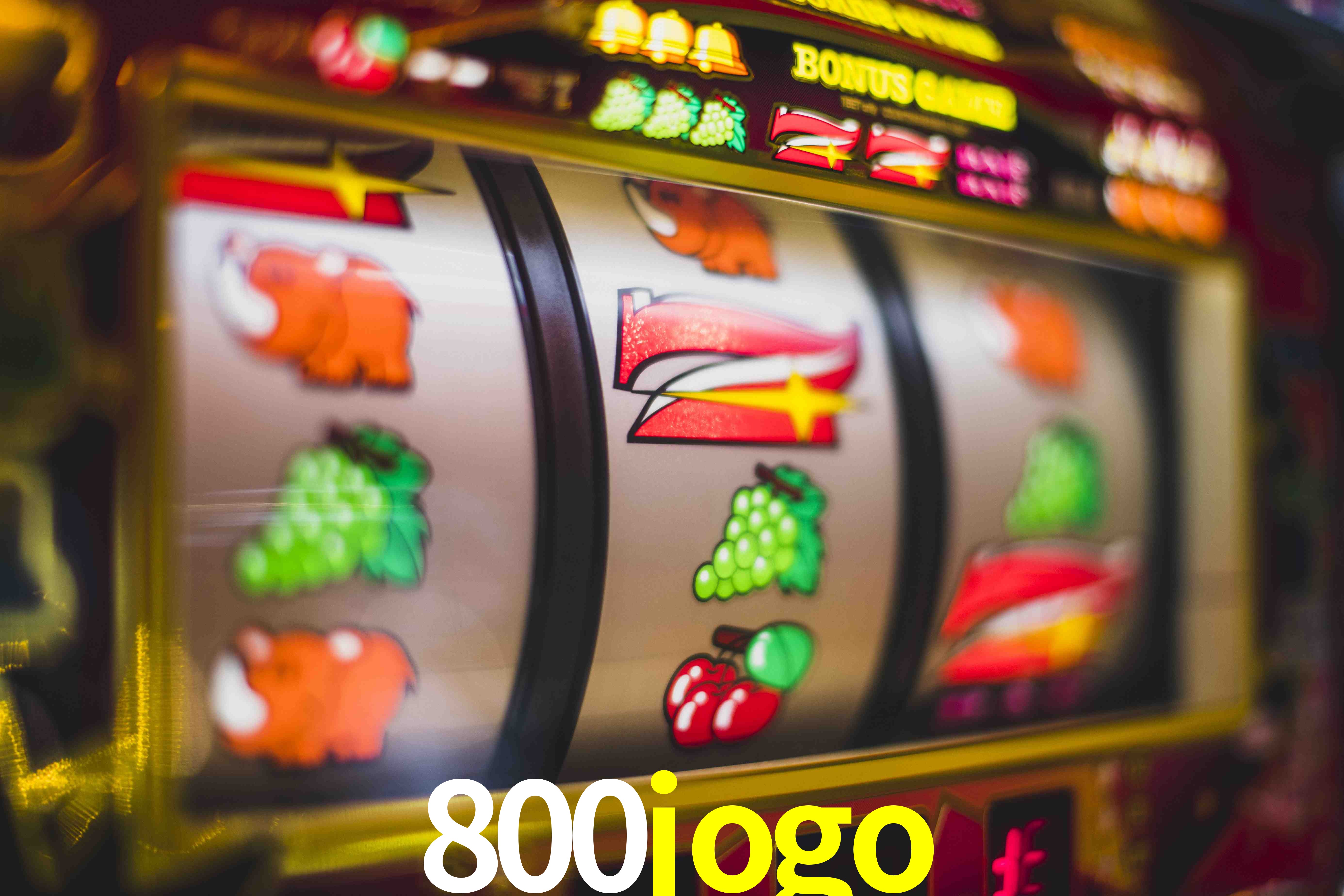 Roulette Table 800jogo